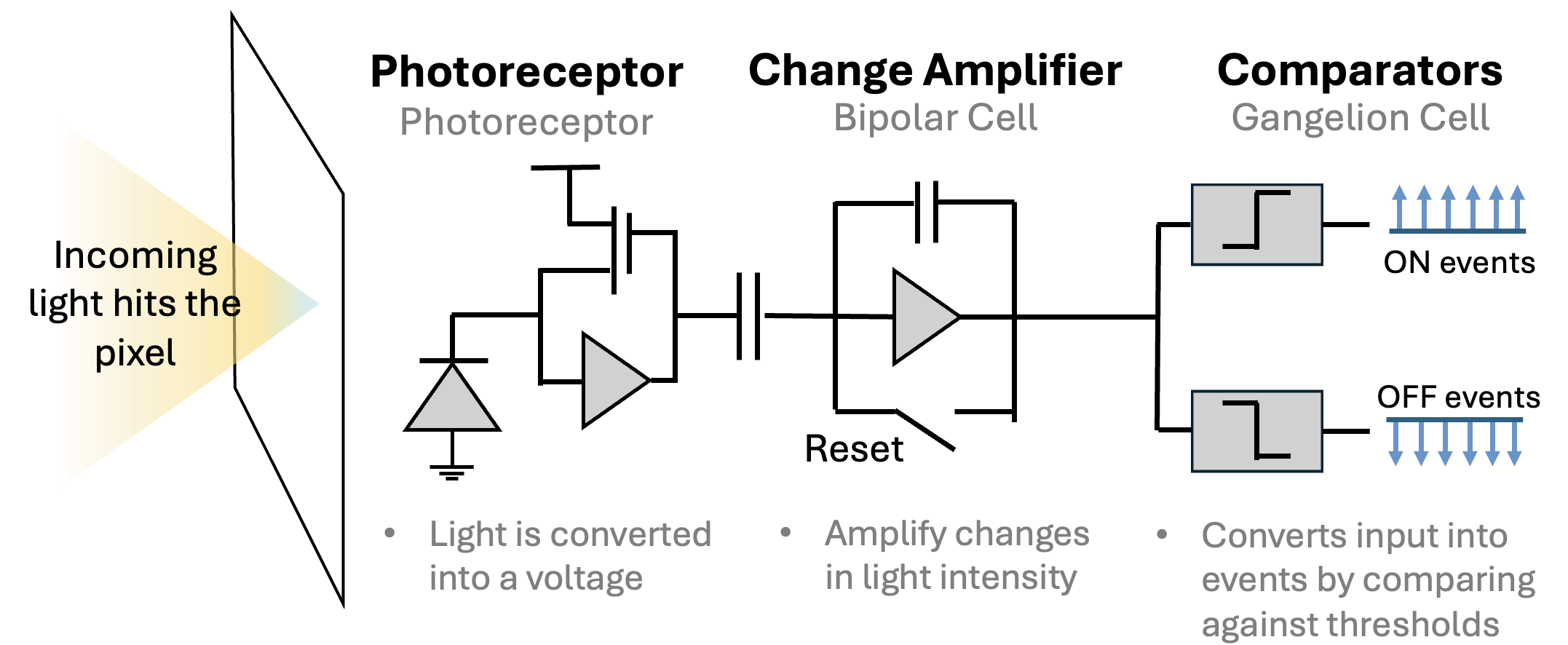 Event pixel diagram. light hits the photoreceptor, which converts it to a voltage. voltage is carried to a change amplifier, which changes its intensity. Then the signal is carried to the comparatators, which convert input into events by comparing it against thresholds.